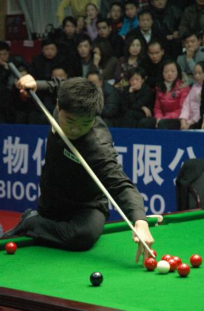 的表现不仅 的表现不仅