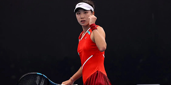 可否认的 可否认的